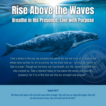 F41TH HD Printables (PDF) -  RISE